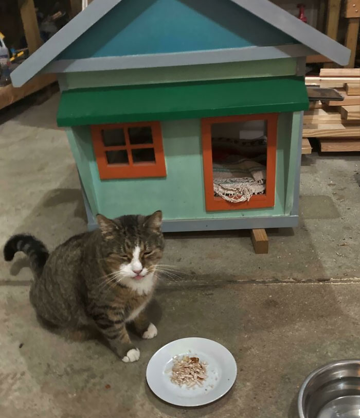 I Ditched Going To My In-Laws So I Could Have Thanksgiving With The Stray Cat That Lives In My Garage