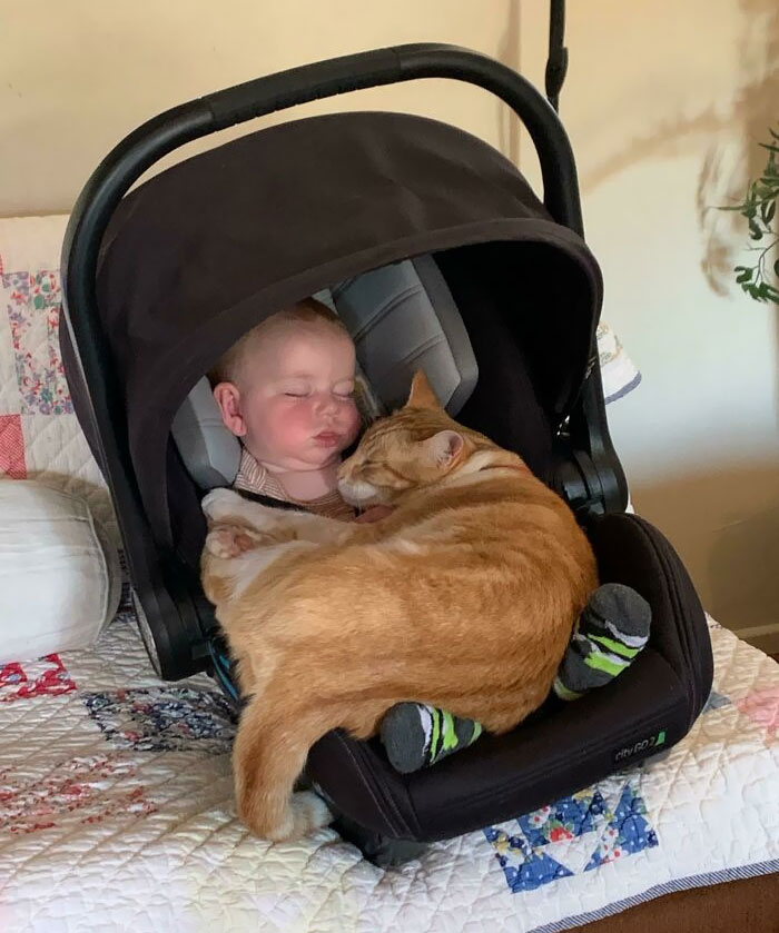 Old Wives Tale Debunked. When We Lifted The Blanket Look What Was Underneath, Dennis! Yes, Bumby Is Still Breathing