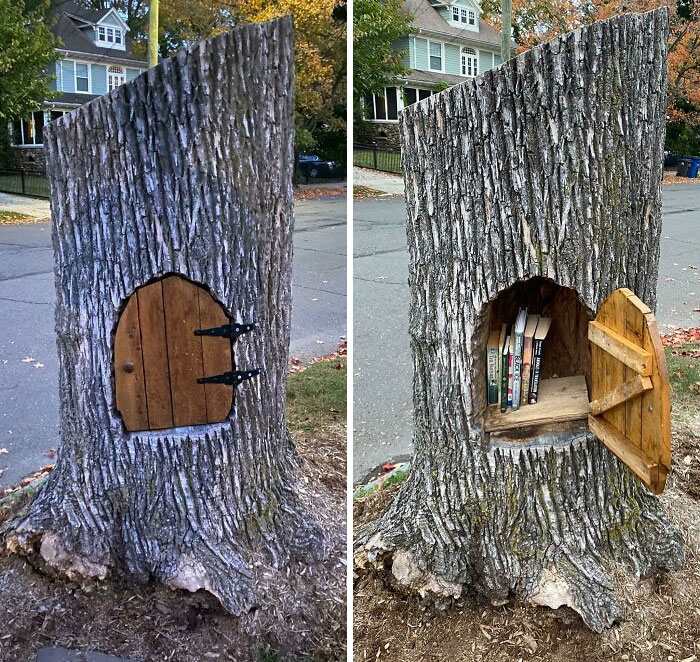 Someone Turned A Stump Into A Little Box Of Books