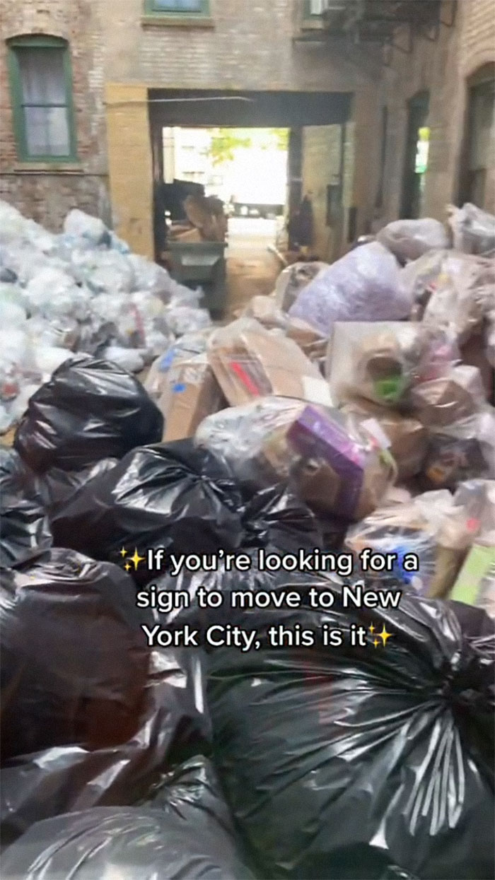 Woman Rents An Apartment In New York For $1,575, Is Shocked After Moving In By The Awful View From Her Only Window Woman Rents An Apartment In New York For $1,575, Is Shocked After Moving In By The Awful View From Her Only Window