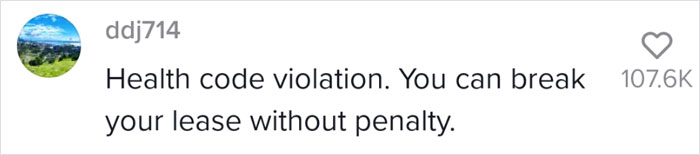 Woman Rents An Apartment In New York For $1,575, Is Shocked After Moving In By The Awful View From Her Only Window Woman Rents An Apartment In New York For $1,575, Is Shocked After Moving In By The Awful View From Her Only Window