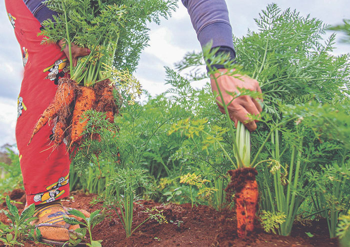 30 People Share How Their Horrible Neighbors Made Their Lives More Difficult (New Stories)