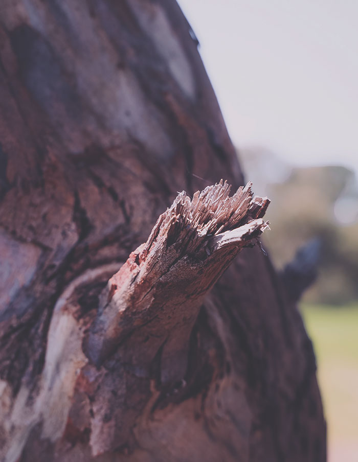 30 People Share How Their Horrible Neighbors Made Their Lives More Difficult (New Stories)