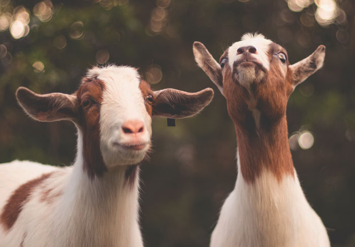 30 People Share How Their Horrible Neighbors Made Their Lives More Difficult (New Stories)