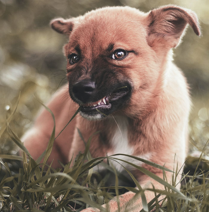 30 People Share How Their Horrible Neighbors Made Their Lives More Difficult (New Stories)