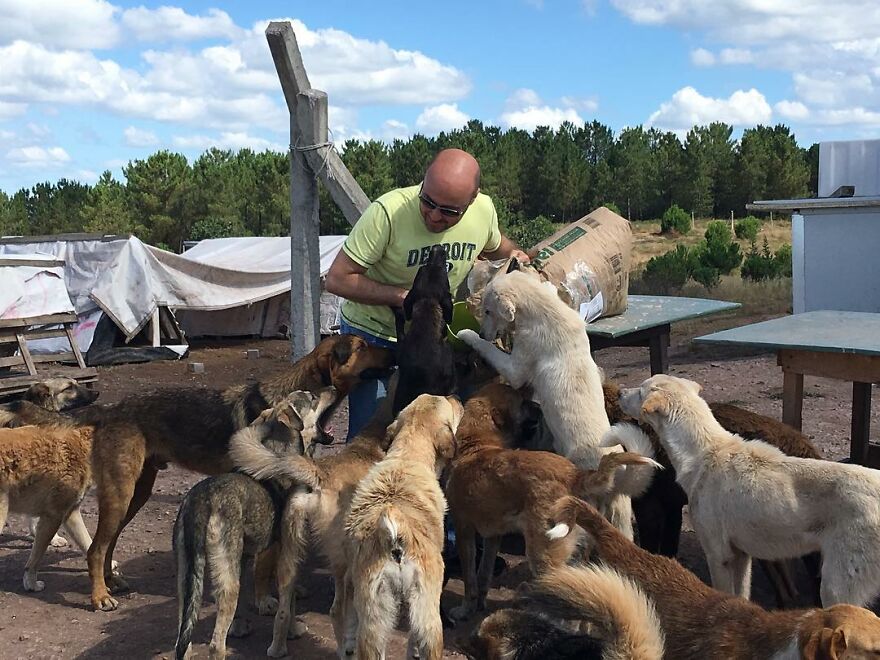 Este hombre transformó su granja en un refugio de animales con perros y gatos, pero también caballos, gaviotas y más