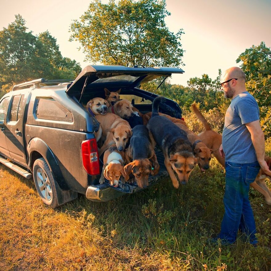 Este hombre transformó su granja en un refugio de animales con perros y gatos, pero también caballos, gaviotas y más