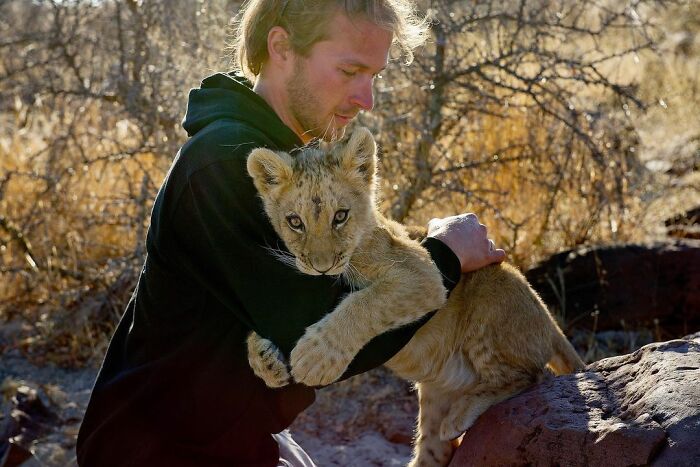 This Lioness Repays Her Caregiver Of 10 Years With Hugs And Cuddles