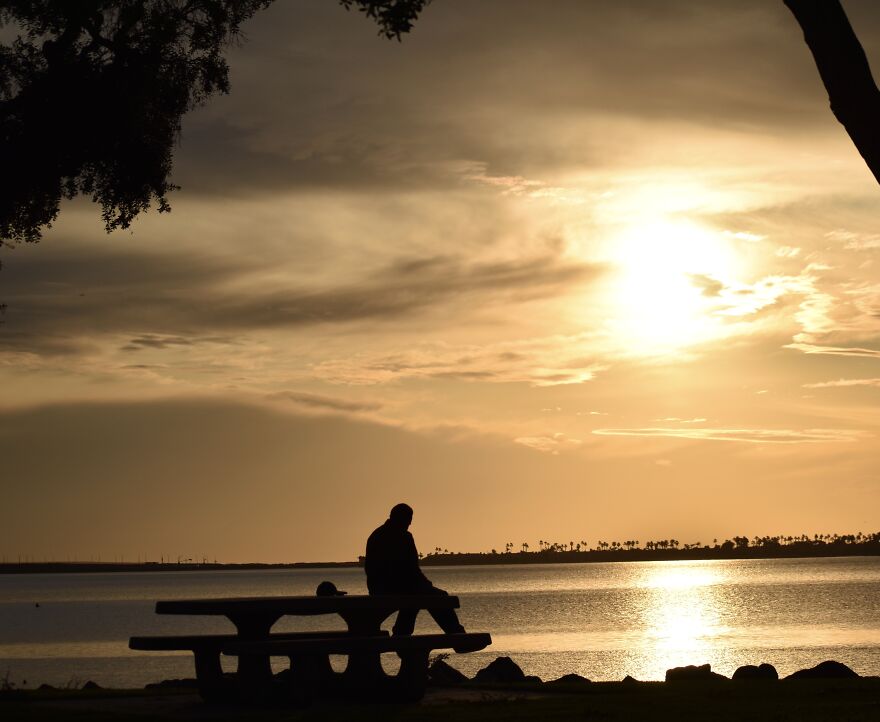 I Took These Photos, And I&rsquo;m Very Proud Of Them!