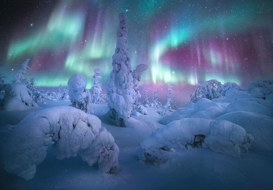 “Forest Of The Lights” By Marc Adamus