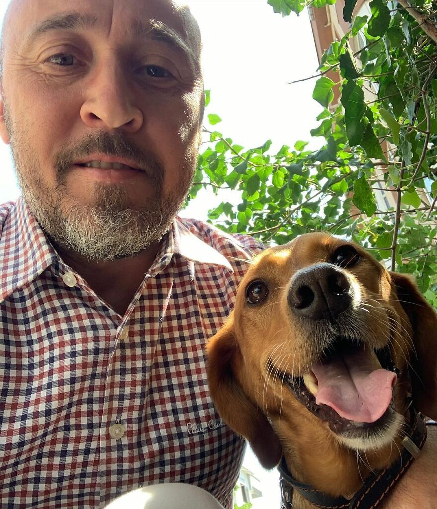 Este hombre transformó su granja en un refugio de animales con perros y gatos, pero también caballos, gaviotas y más