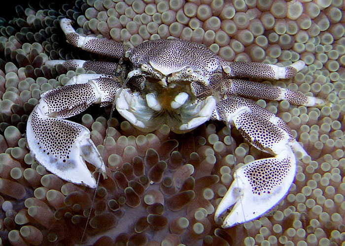 30 New ‘Today I Learned’ Facts That Prove It’s Never Too Late To Learn Something New