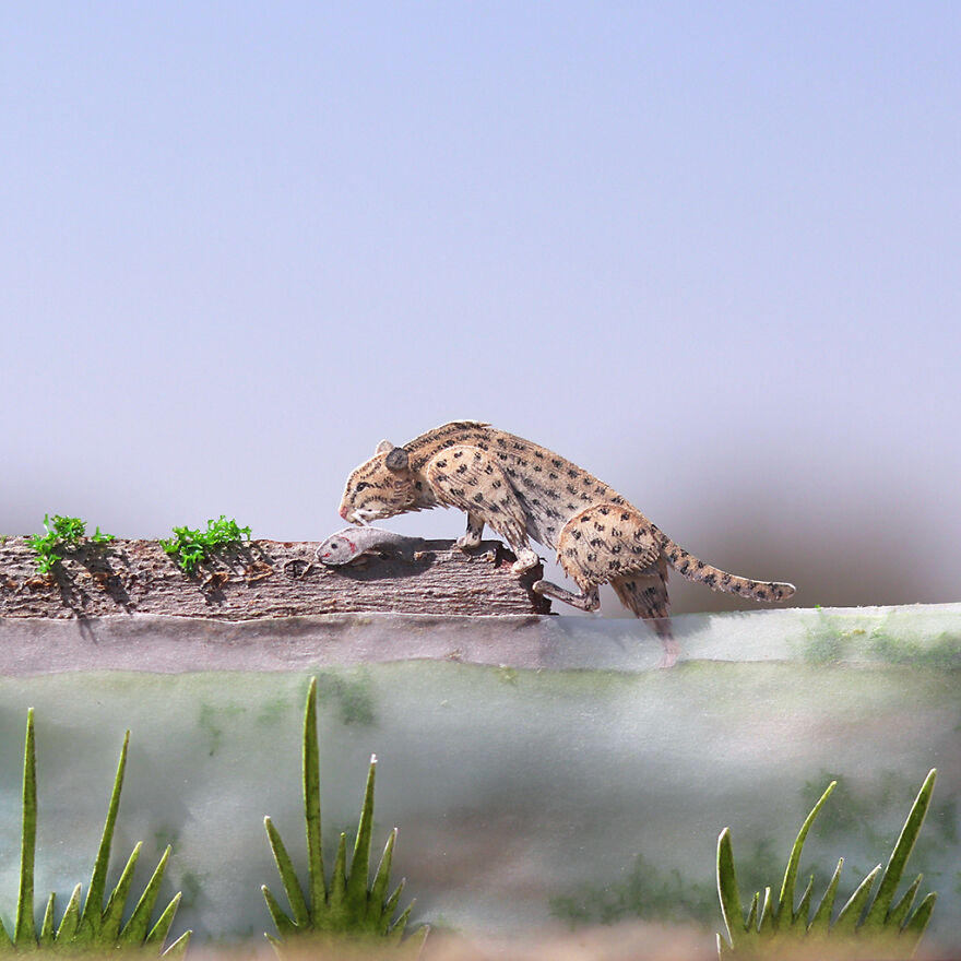 I Created Miniature Paper Cut Artworks Every Day For 1000 Days To Create Awareness About Wildlife