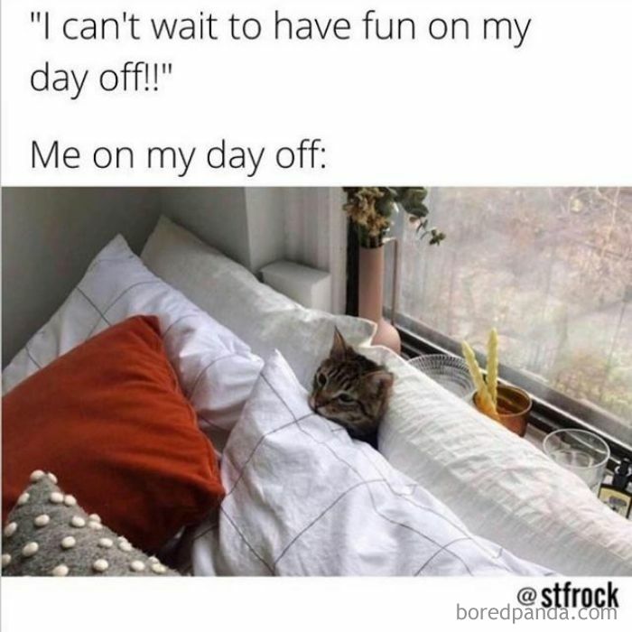 Funny-Corporate-Millennial-Jokes