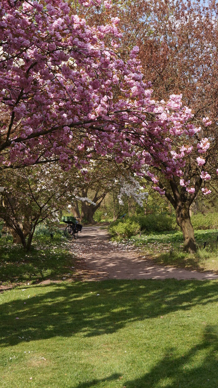 "¿En qué momento te diste cuenta de que tu profesor era idiota?":20 personas responden