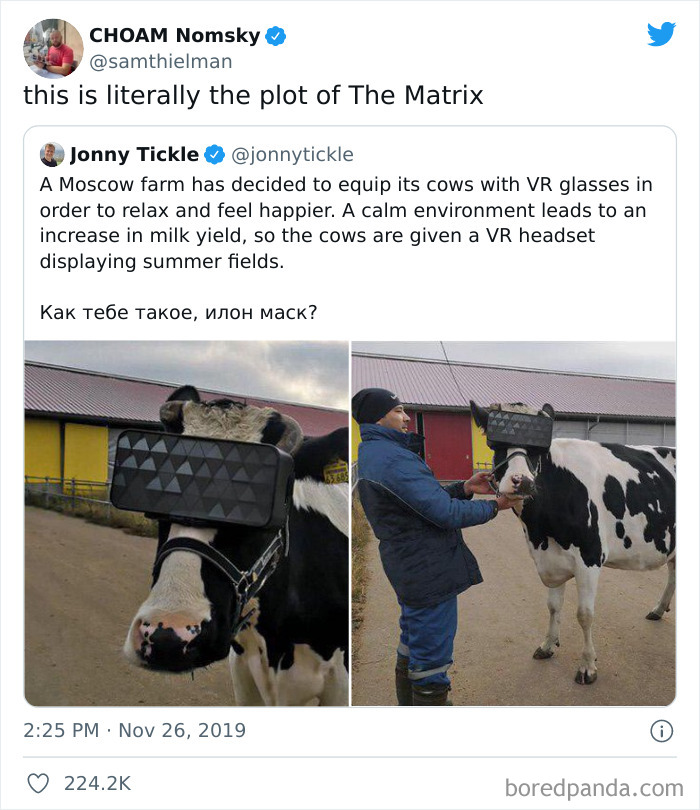 Thanks, I Hate The Mootrix