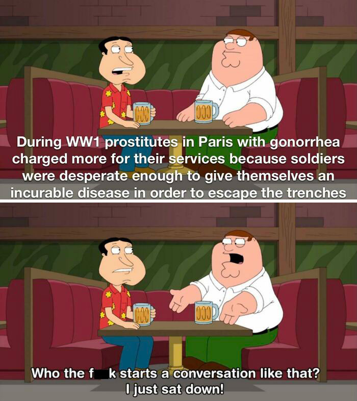 Two animated characters from Family Guy share drinks while discussing a funny and accurate World War 1 history meme.