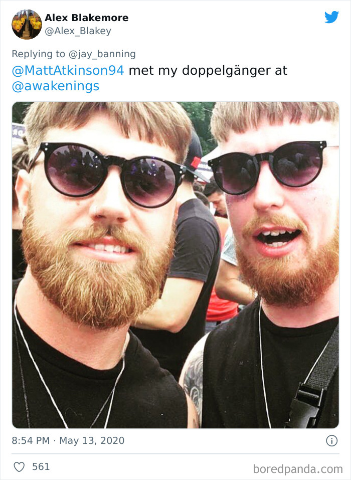 Glitch In The Festival