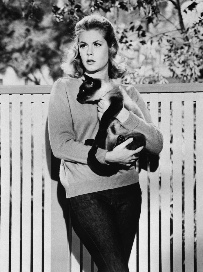 Elizabeth Montgomery