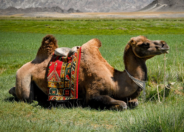 30 New ‘Today I Learned’ Facts That Prove It’s Never Too Late To Learn Something New