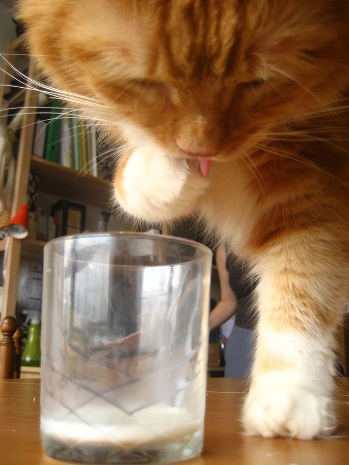 People In This Online Community Shared 30 Cringy Pickup Lines That Actually Are Quite Funny