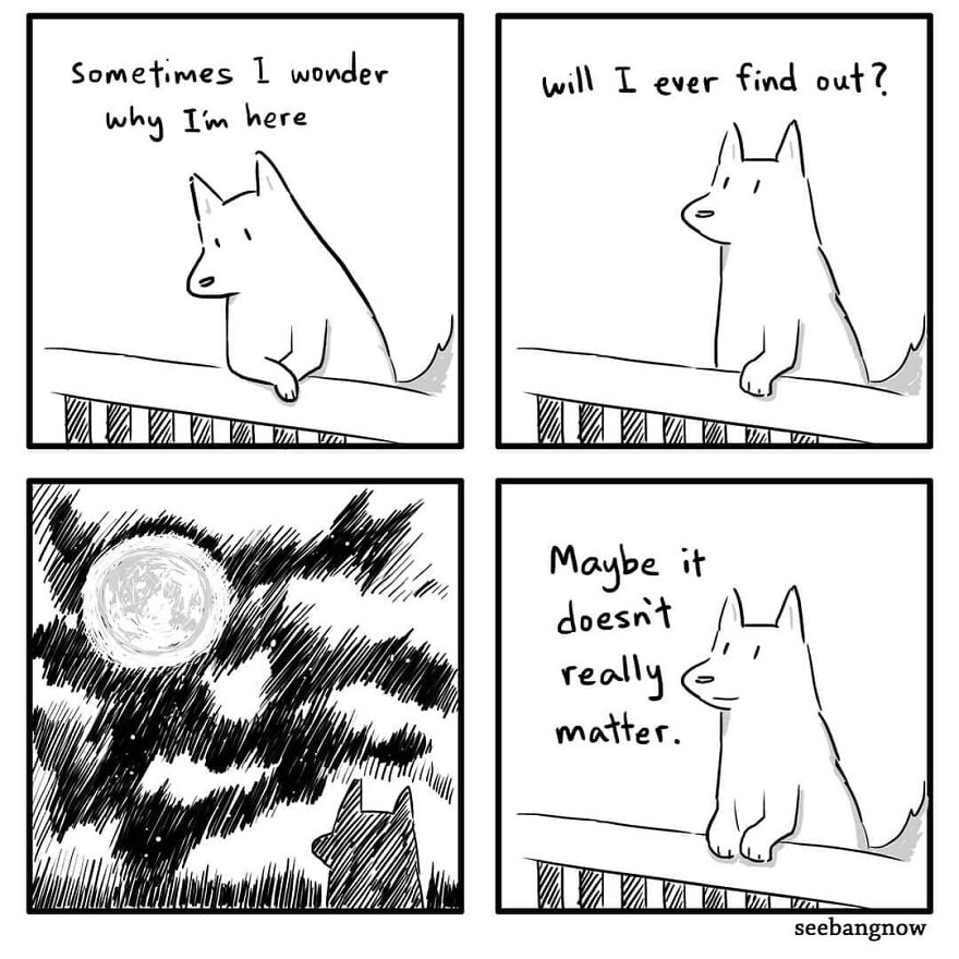 Illustrator Shows In Funny Comics What Dogs Really Think (30 Comics)