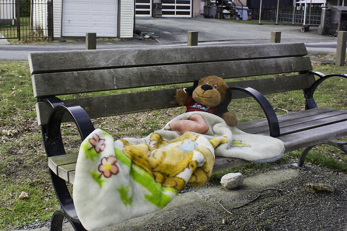 Estas 20 personas tuvieron un presentimiento que acabó salvándoles la vida y compartieron sus historias en este grupo en línea