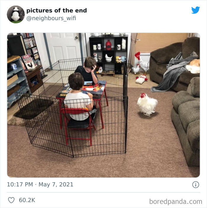 Funny-Confusing-No-Context-Images