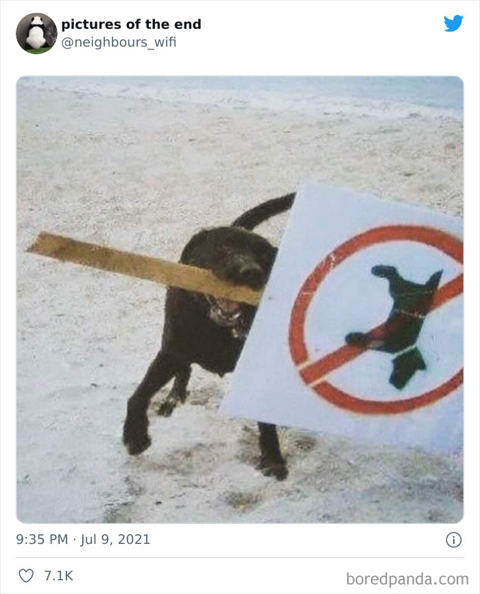 Funny-Confusing-No-Context-Images