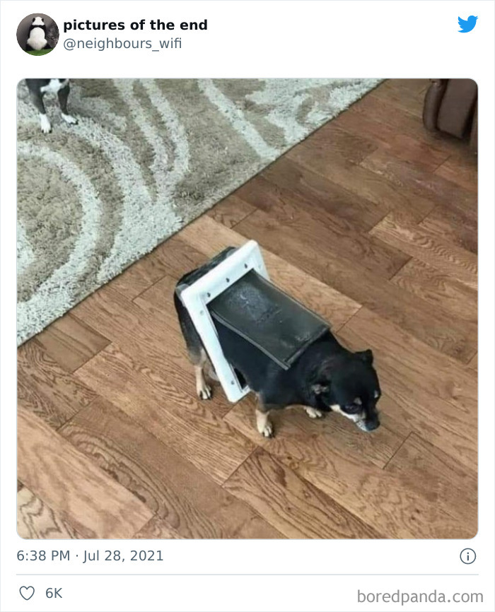 Funny-Confusing-No-Context-Images