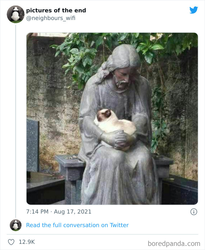 Funny-Confusing-No-Context-Images