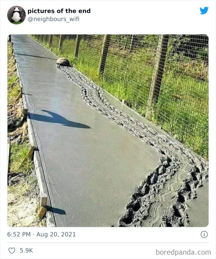 Funny-Confusing-No-Context-Images