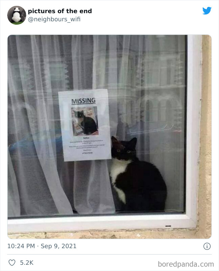 Funny-Confusing-No-Context-Images