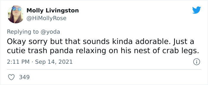 Mission "Raccoon Removal": This Guy&rsquo;s Live Tweets About How He&rsquo;s Trying To Get A Raccoon Out Of His House Are Seriously Hilarious