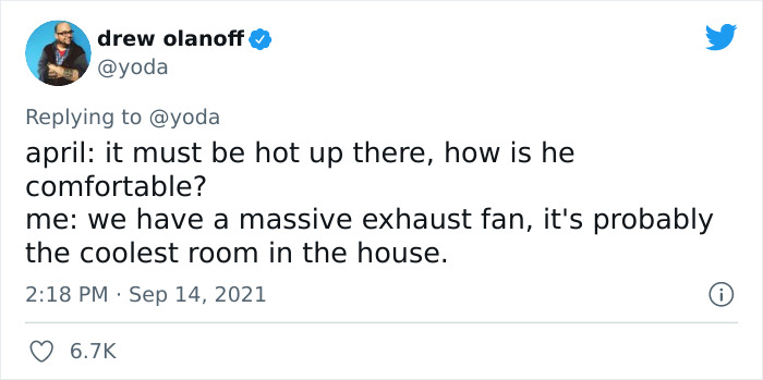 Mission "Raccoon Removal": This Guy&rsquo;s Live Tweets About How He&rsquo;s Trying To Get A Raccoon Out Of His House Are Seriously Hilarious