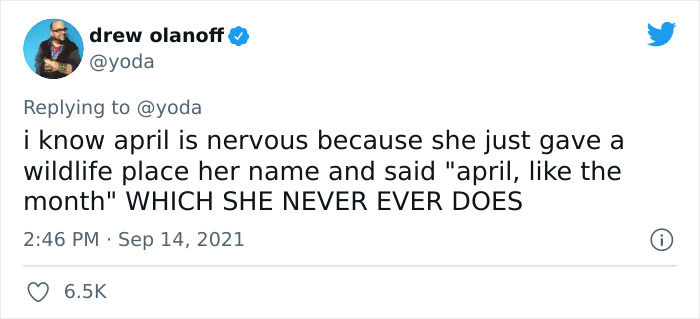Mission "Raccoon Removal": This Guy&rsquo;s Live Tweets About How He&rsquo;s Trying To Get A Raccoon Out Of His House Are Seriously Hilarious