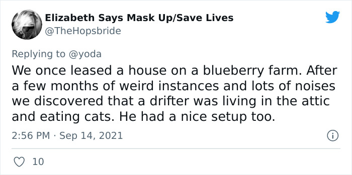 Mission "Raccoon Removal": This Guy&rsquo;s Live Tweets About How He&rsquo;s Trying To Get A Raccoon Out Of His House Are Seriously Hilarious