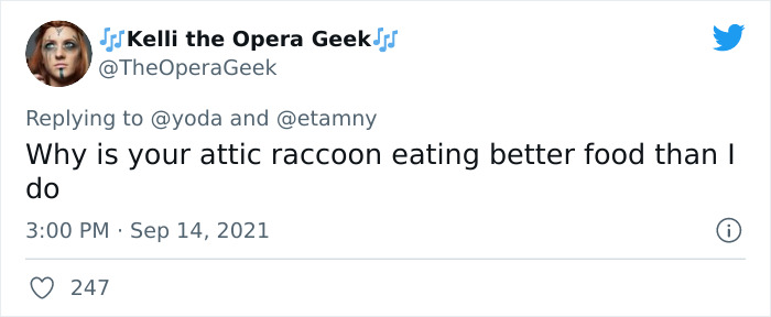 Mission "Raccoon Removal": This Guy&rsquo;s Live Tweets About How He&rsquo;s Trying To Get A Raccoon Out Of His House Are Seriously Hilarious