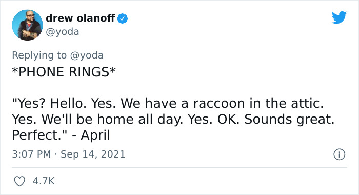 Mission "Raccoon Removal": This Guy&rsquo;s Live Tweets About How He&rsquo;s Trying To Get A Raccoon Out Of His House Are Seriously Hilarious