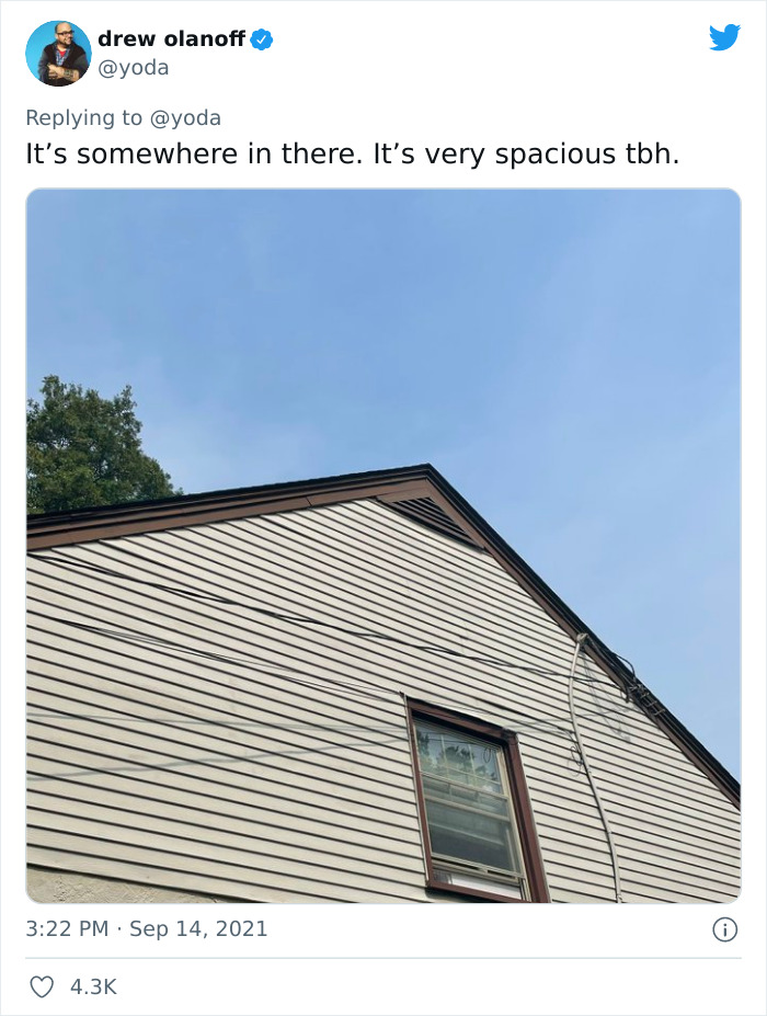 Mission "Raccoon Removal": This Guy&rsquo;s Live Tweets About How He&rsquo;s Trying To Get A Raccoon Out Of His House Are Seriously Hilarious