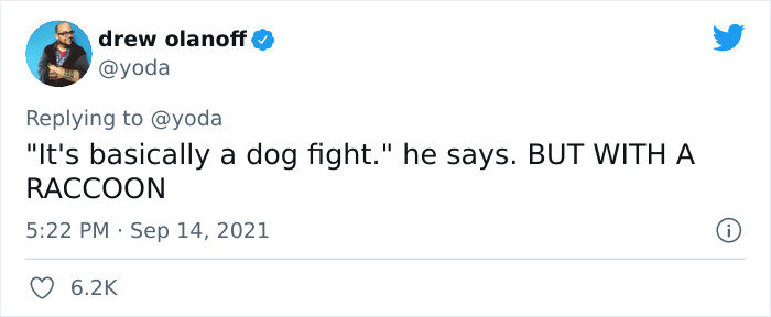 Mission "Raccoon Removal": This Guy&rsquo;s Live Tweets About How He&rsquo;s Trying To Get A Raccoon Out Of His House Are Seriously Hilarious