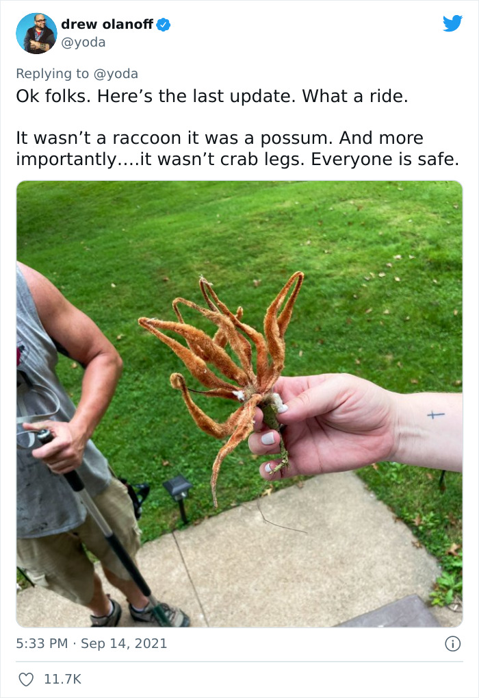 Mission "Raccoon Removal": This Guy&rsquo;s Live Tweets About How He&rsquo;s Trying To Get A Raccoon Out Of His House Are Seriously Hilarious