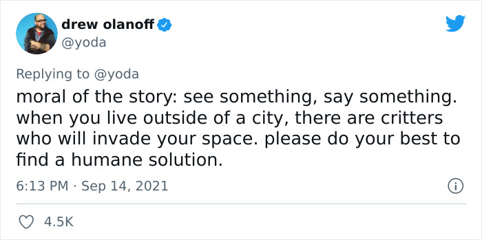 Mission "Raccoon Removal": This Guy&rsquo;s Live Tweets About How He&rsquo;s Trying To Get A Raccoon Out Of His House Are Seriously Hilarious