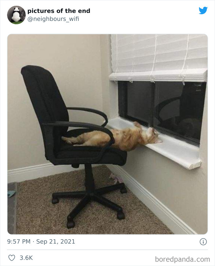 Funny-Confusing-No-Context-Images