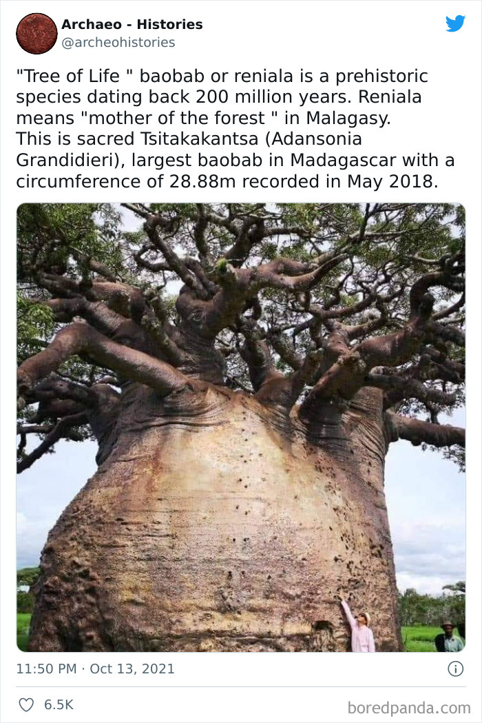 Interesting-History-Facts-Archaeo-Histories