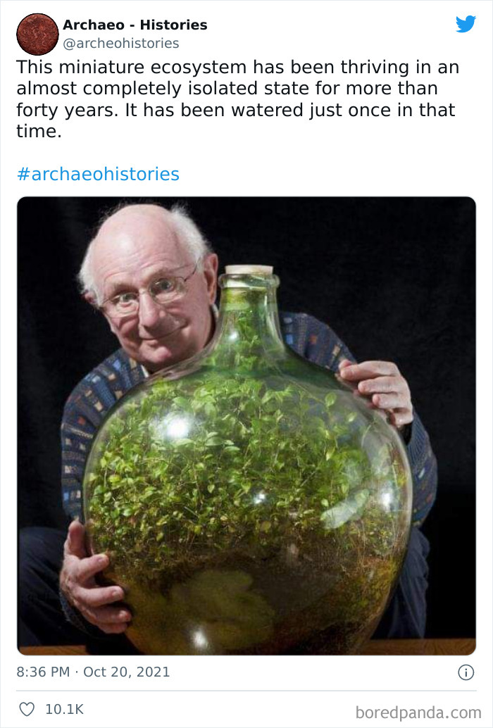 Interesting-History-Facts-Archaeo-Histories