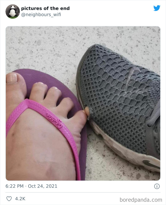 Funny-Confusing-No-Context-Images