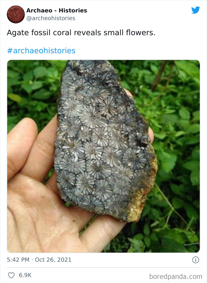 Interesting-History-Facts-Archaeo-Histories