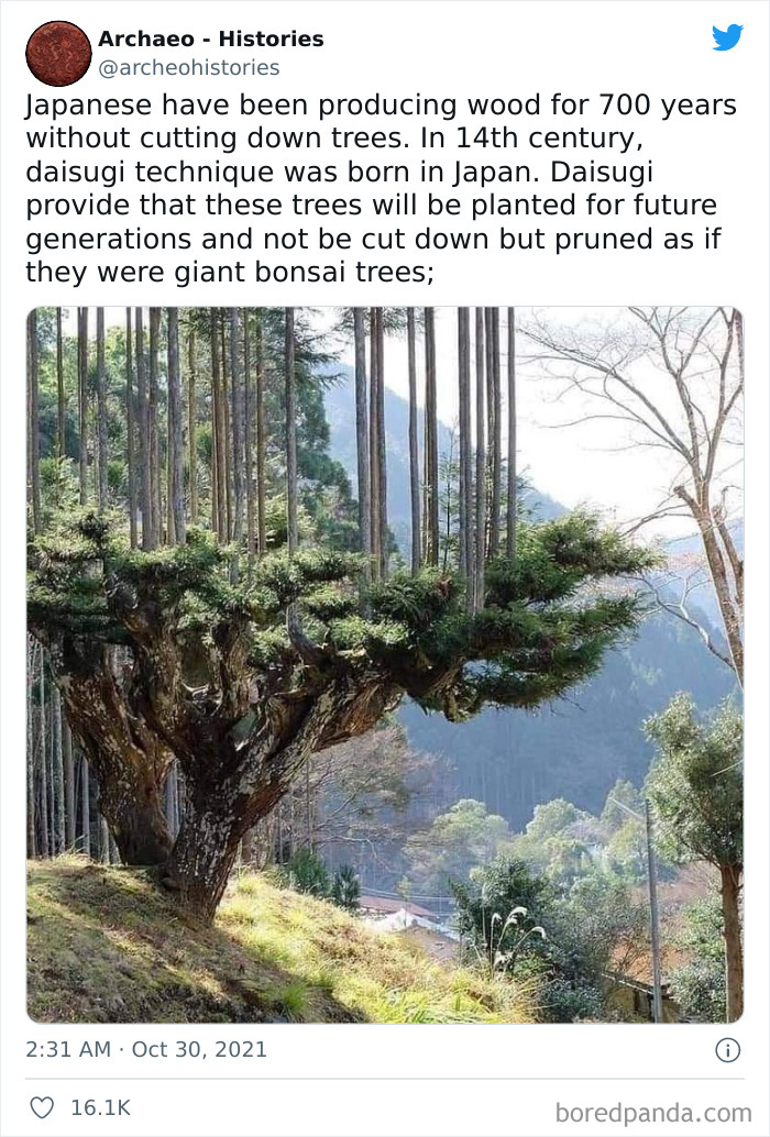 Interesting-History-Facts-Archaeo-Histories