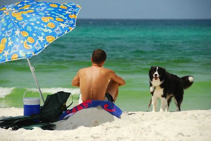 Man sitting on a beach towel under an umbrella with a dog nearby, symbolizing former prisoners reconnecting with family.